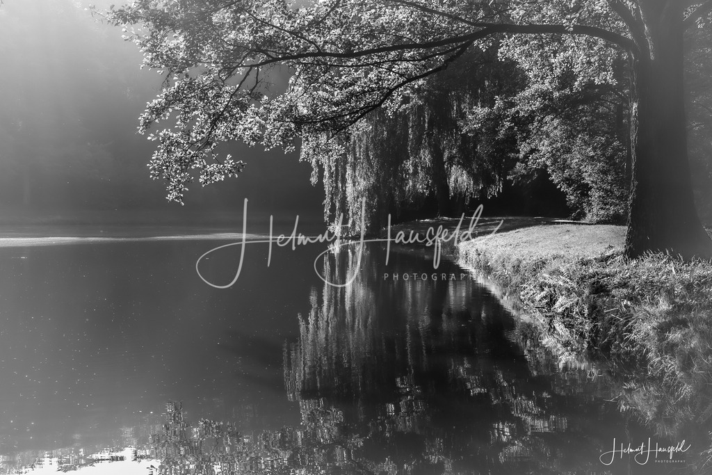 DSC00240-2 | Landschaftsfotografie, Naturfotografie - Realisiert mit Pictrs.com