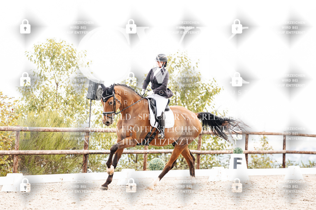 CK900838 | Turnierfotografie Pferdefotografie Trier Rheinland-Pfalz Pferdesport Reitsport Tierfotografie Sportfotografie Pferdevideo Pferdevideografie Equestrianvideography equestrianphotography  - Realisiert mit Pictrs.com