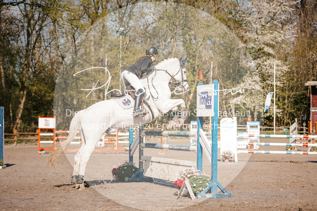 3I6A3767 | Stimmungsvolle Portraits und Reitsportfotografie im Ruhrgebiet und im Münsterland.

Pferdefotografie, Hundefotografie, Tierfotografie, Reportagen, Portraits von Tier und Mensch, Turnierfotografie in Bochum, Recklinghausen, Marl, Haltern am See, Dülmen.. - Realisiert mit Pictrs.com