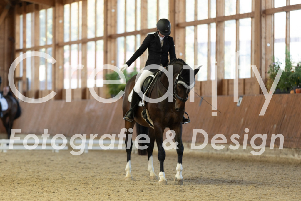 IMG_9294 | Creatify Fotografie