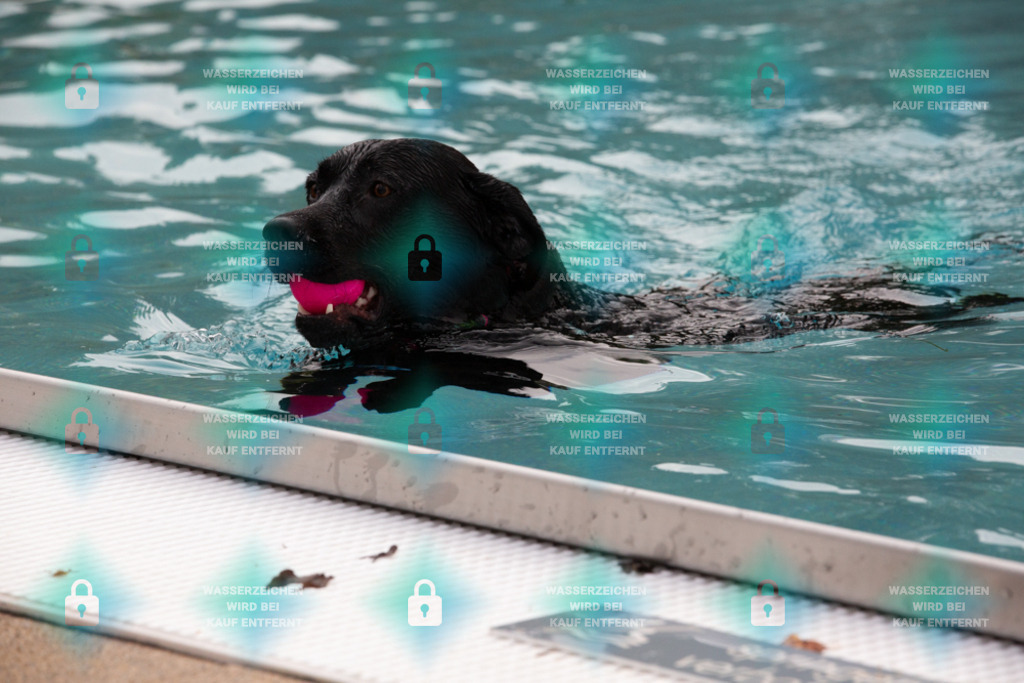 _HP_7511_1000o | HetPix, HetPix Fotodesign, Fotografie, Fotodesign, Webshop, Sportfotografie, Portraitfotografie, Onlineshop, Sportfotografie, Polch, Motorsportfotografie, Eventfotografie