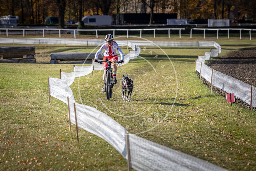 CaniXpix_DV3A7364 | Hundefotografie, Tierfotograf, Pfotenfotografie, Fotoshooting Hund, Hunde Portrait, Hundesport, Hundeportraits, Heideshooting, Hunde, Sportfotograf, Hundefotograf, Turnierhundsport, THS,  - Realisiert mit Pictrs.com