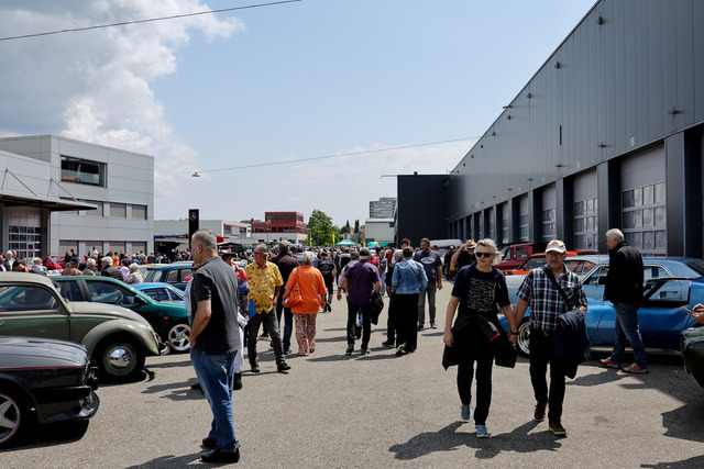 Calag_Oldtimer2025-24 | Ich fotografiere Hundeausstellungen, Sportanlässe, Zuchtstätten, Hundezucht, Hundeportrait, Lagotto - Realisiert mit Pictrs.com
