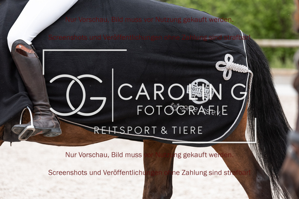DSC_7012 | Turnierfotografin Carolin Gieschke, Turnierfotografie Carolin G Fotografie, Turnierfotos Kirchheim/Teck, Esslingen, Stuttgart, Bodenseekreis