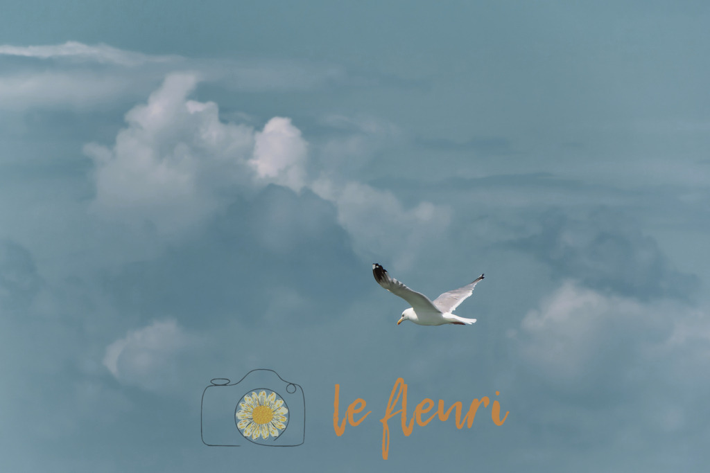 Über den Wolken... | Dies ist der Shop von Florian Blum - le fleuri. Langenthal, Bern, Schweiz. Sie können hier meine oder ihre eigenen Fotos als Fotoprodukte kaufen. Tassen, Schlüsselanhänger, Taschen etc. können Sie hier gestalten.  - Realisiert mit Pictrs.com