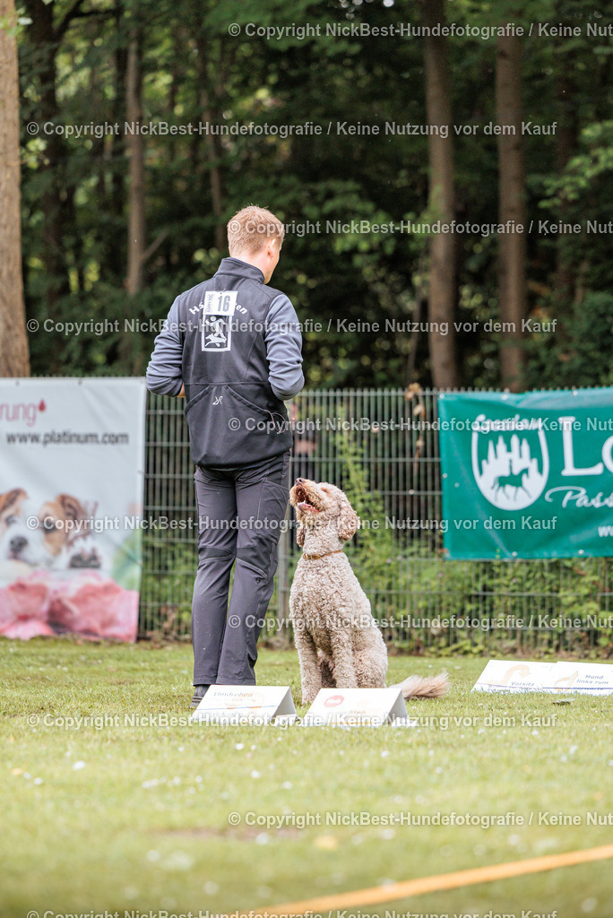 RO-Blumenthal-2026-Nickbest-Hundefotografie-4183 | Dein Hund! Dein Moment! Deine Erinnerungen! Hundefotografie in Bremen Blumenthal. Ich fange die besonderen Momente deines Vierbeiners ein – ob Indoor mit Blitzanlage oder in der freien Natur. Sicher dir dein Moment und dein Termin für eure Erinnerungen.