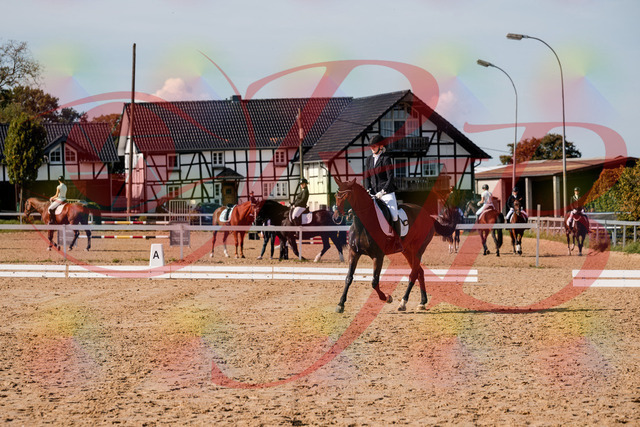 2026_10_03_Siefer-Hof_125540_Z63_62558455 | Professionelle Reitsport-, Turnier- und Eventfotografie von Robert Broda. Galerien mit ausgewählten und bearbeiteten Bildern direkt online ansehen und bestellen.