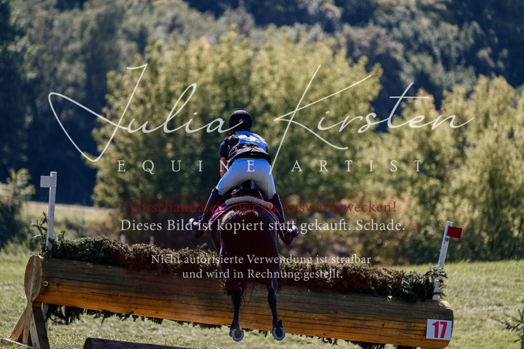 DSC_1963 | Pferde- und Turnierfotografie in Westsachsen. Pferdeportraits, Auftragszeichnungen und intuitive Kunst.