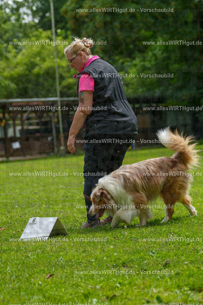 @allesWIRTHgut_Tierfotografie - www.allesWIRTHgut.de - 7R505013 | Professionelle Tierfotografie in Mönchengladbach von Daniel Wirth (allesWIRTHgut). Liebevolle & natürliche Bilder von Hunden & Katzen für unvergessliche Erinnerungen.