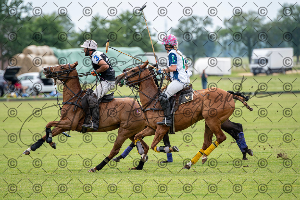 POL_3771 | andre_photographic