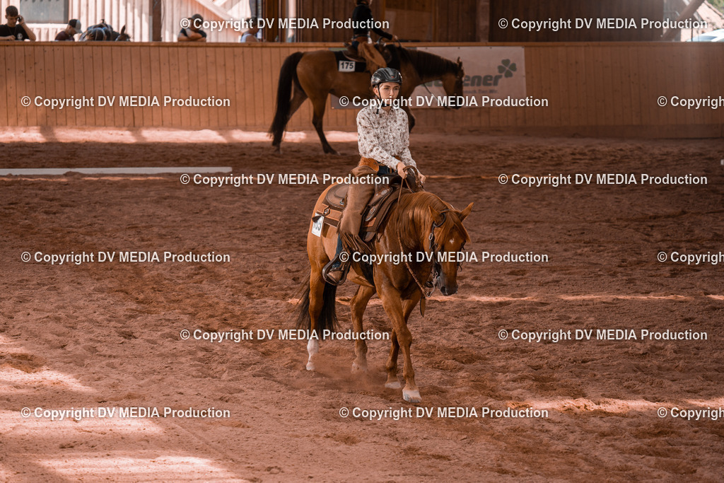 NE300375 | dv-media-shop - Realisiert mit Pictrs.com