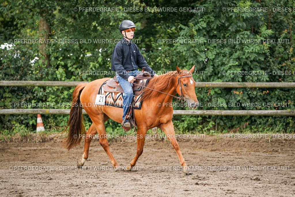 DSC08841 | Pferdegrafie