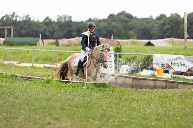 IMG_9055 | normansfotografie - Realisiert mit Pictrs.com