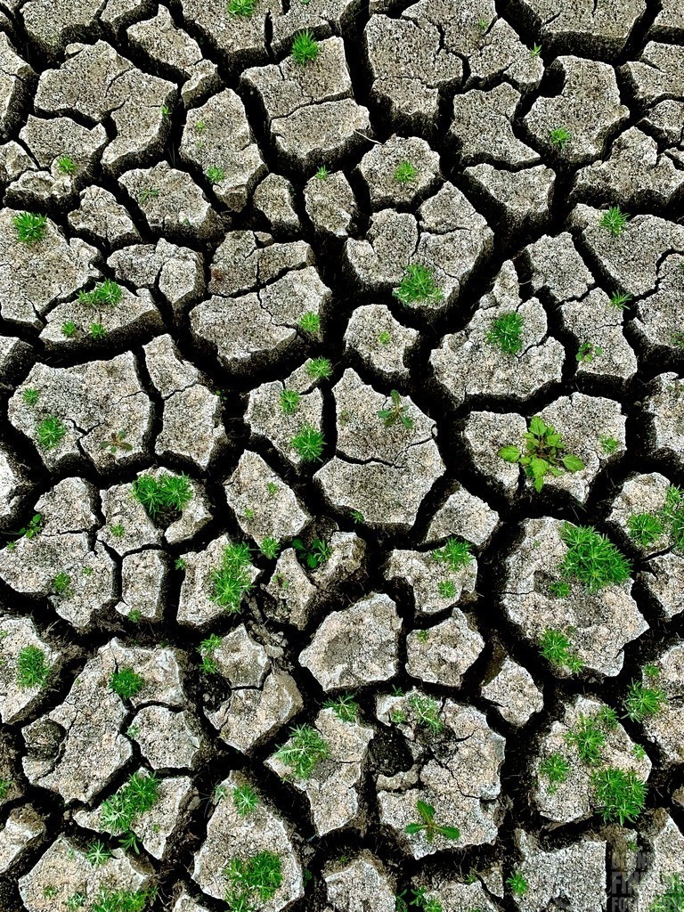 IMG_2423 | Björn Thiemann; Ogenblick.de; Fotografie; Photograph; Landscape, Pellworm, Schleswig-Holstein; Inselfotograf; Inselfotografien; Wattenmeer; National-Park; Naturschutzgebiet; Leuchtturm; Lighthouse; Leinwandbilder; Kalender; Pellworm Kalender;  - Realisiert mit Pictrs.com