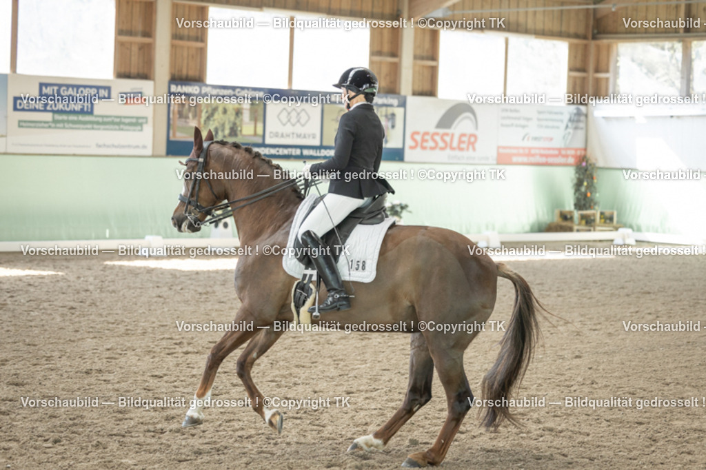 _D5A1218 | Emotionale Pferde- & People-Fotografie rund um Heidelberg, Leimen & Umgebung. Natürliche Fotos von Pferd, Mensch & Familie. Jetzt Termin sichern!