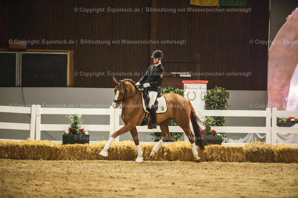 20240302_Hengstvorstellung_Marbach_TOMsPiC_0518-2 | equistock