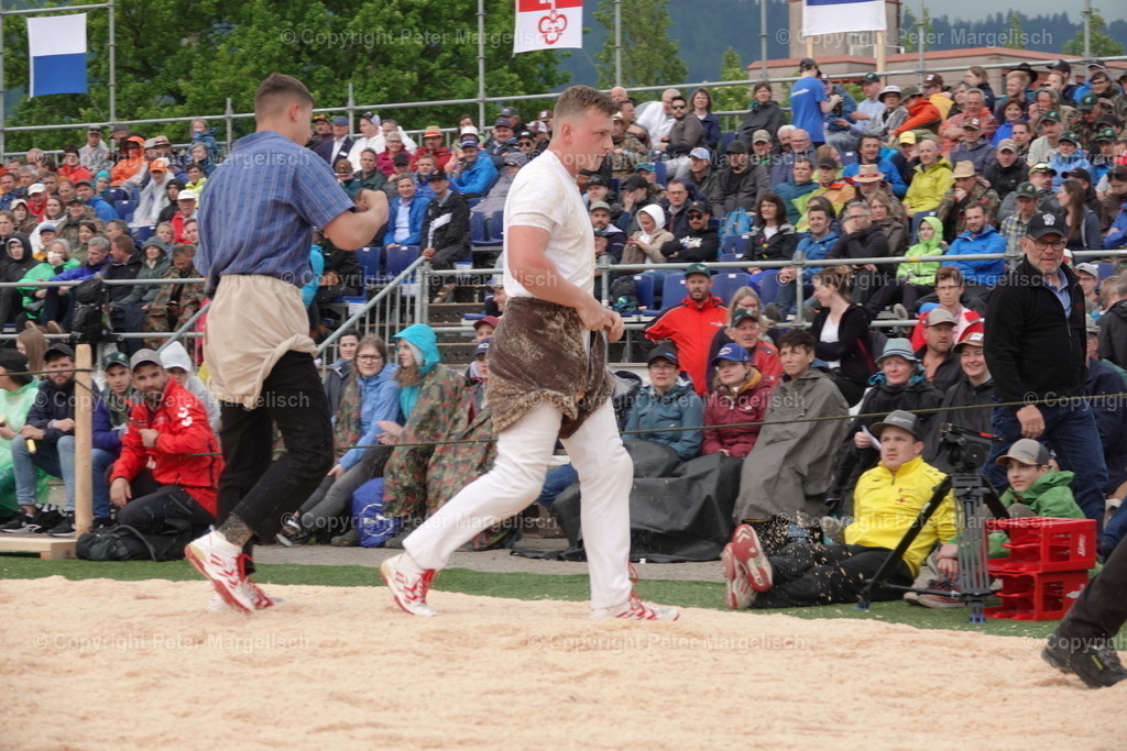 DSC03710 | Schwingen - Realisiert mit Pictrs.com