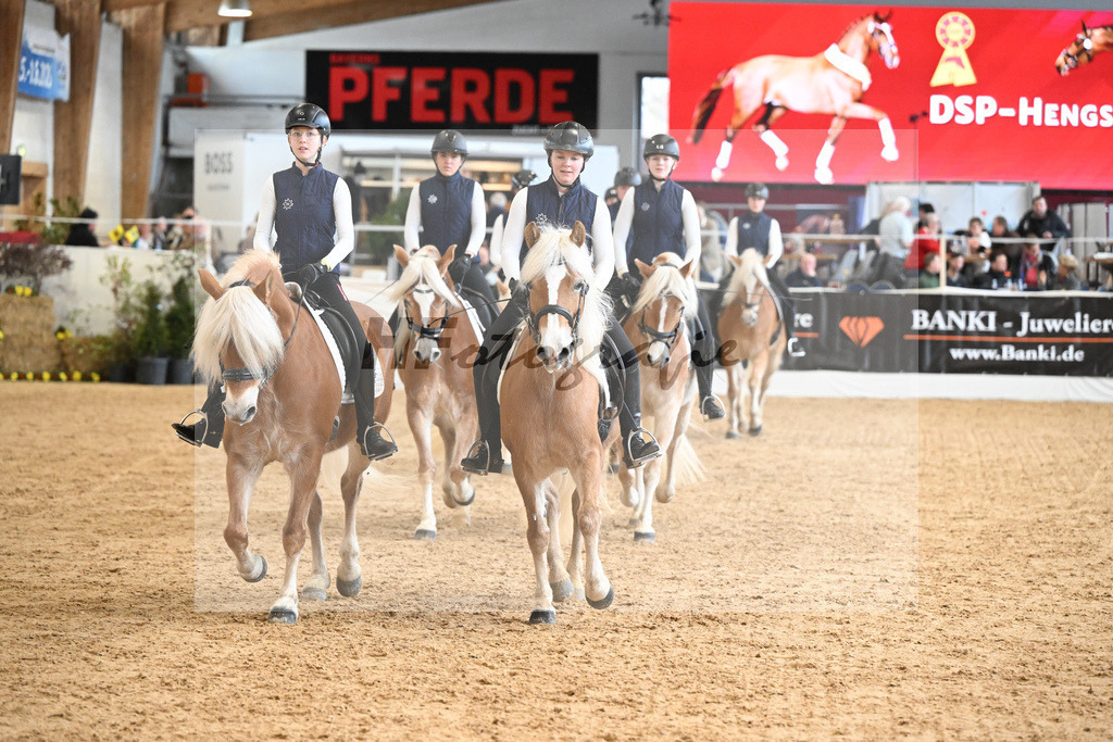 Schauprogramm Haflinger Quadrille_2251522 | hf-fotografie - Realizzato con Pictrs.com