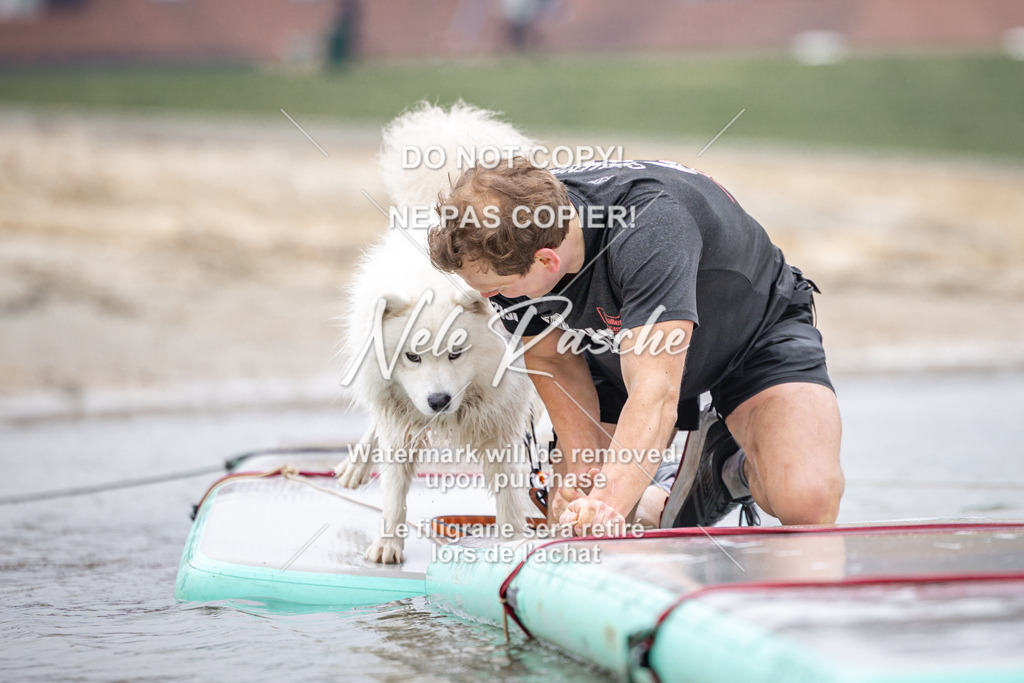nelerasche_Hulsbeek_Sa1030-1100_319 | nelerasche