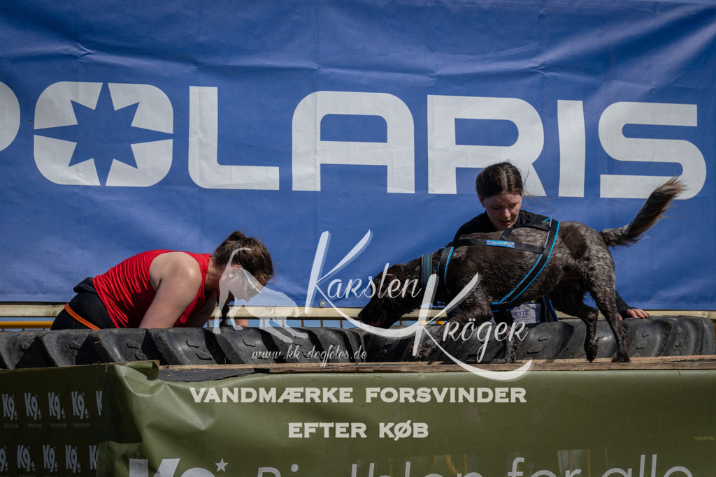 1206_ZZ93999 | kk-dogfotos