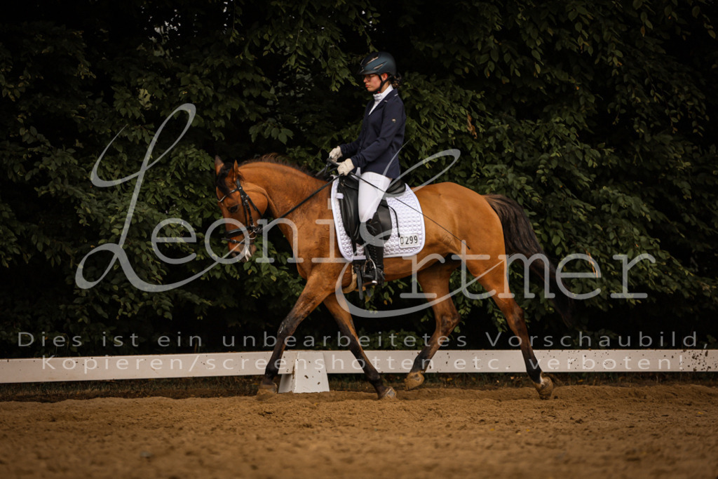 DoDrE00387 | Leoni Ertmer Photography - Realisiert mit Pictrs.com