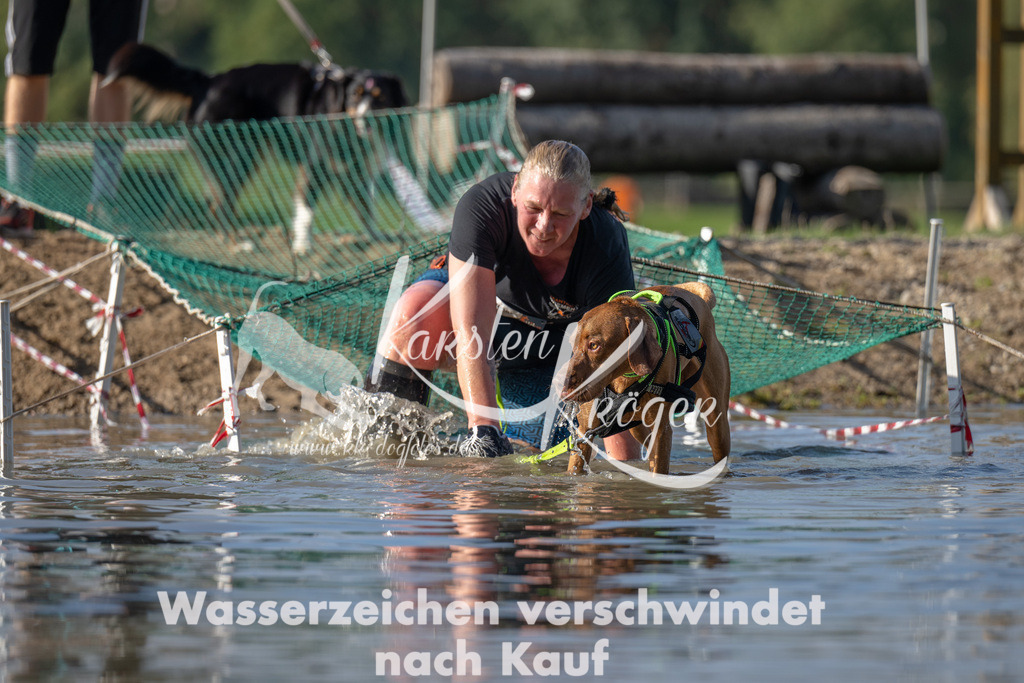 1119_ZZ92341 | kk-dogfotos