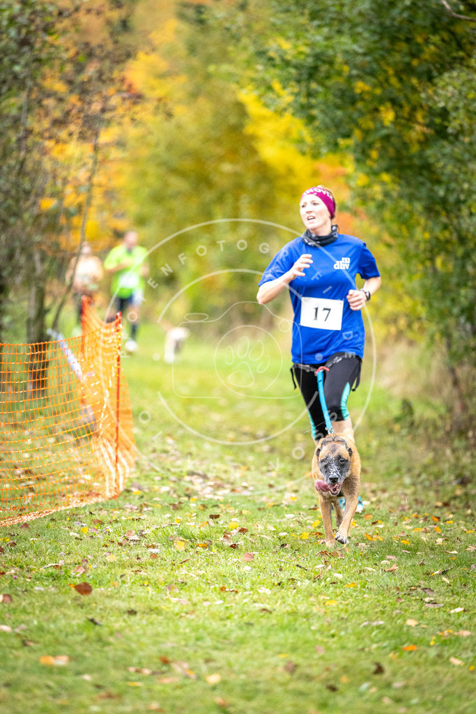 Pfotenfotografie_DV3A1848 | Hundefotografie, Tierfotograf, Pfotenfotografie, Fotoshooting Hund, Hunde Portrait, Hundesport, Hundeportraits, Heideshooting, Hunde, Sportfotograf, Hundefotograf, Turnierhundsport, THS,  - Realisiert mit Pictrs.com