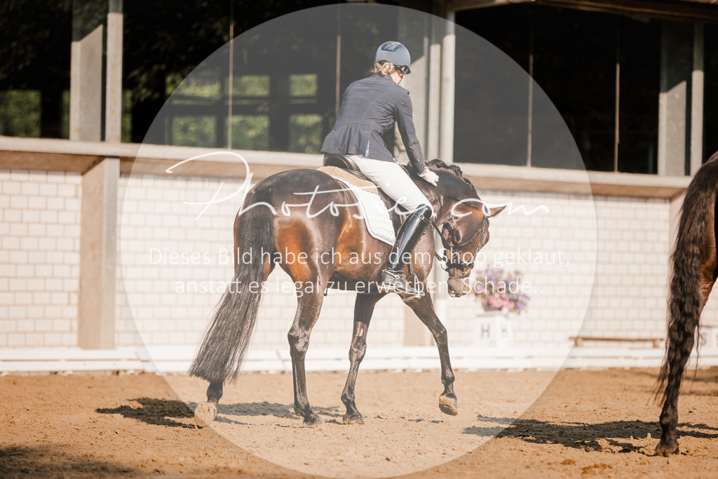 3I6A8571 | Stimmungsvolle Portraits und Reitsportfotografie im Ruhrgebiet und im Münsterland.

Pferdefotografie, Hundefotografie, Tierfotografie, Reportagen, Portraits von Tier und Mensch, Turnierfotografie in Bochum, Recklinghausen, Marl, Haltern am See, Dülmen.. - Realisiert mit Pictrs.com