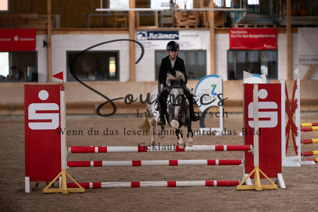 A7507555 | Pferdefotograf