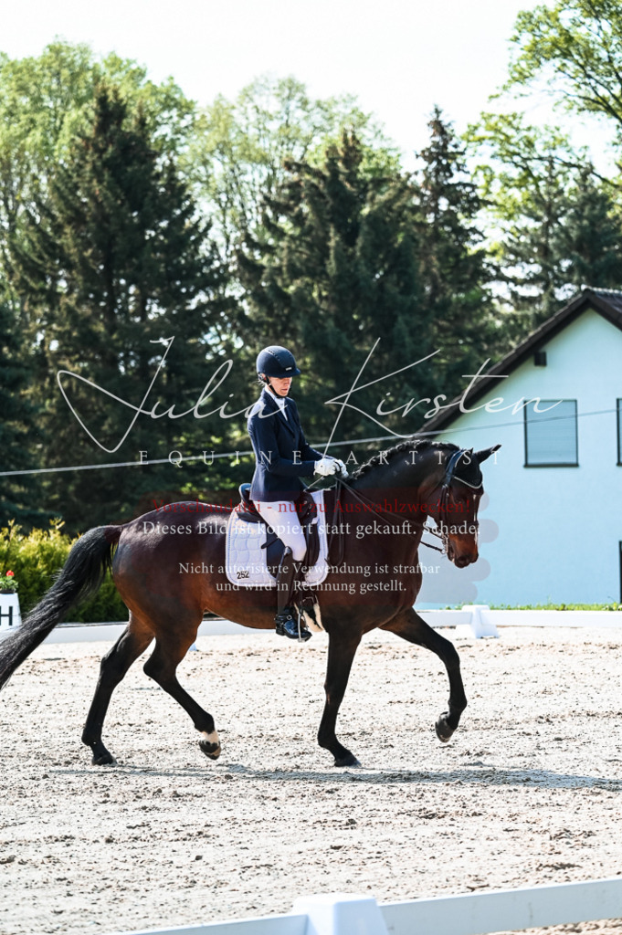 20230513_JK-Röhrsdorf-10-0386 | Pferde- und Turnierfotografie in Westsachsen. Pferdeportraits, Auftragszeichnungen und intuitive Kunst.