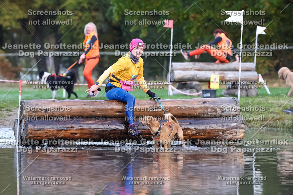 Dog Paparazzi - Strongdog 10-25-6450 | Dog Paparazzi Jeanette Grottendiek Fotografie & Videografie - Realisiert mit Pictrs.com