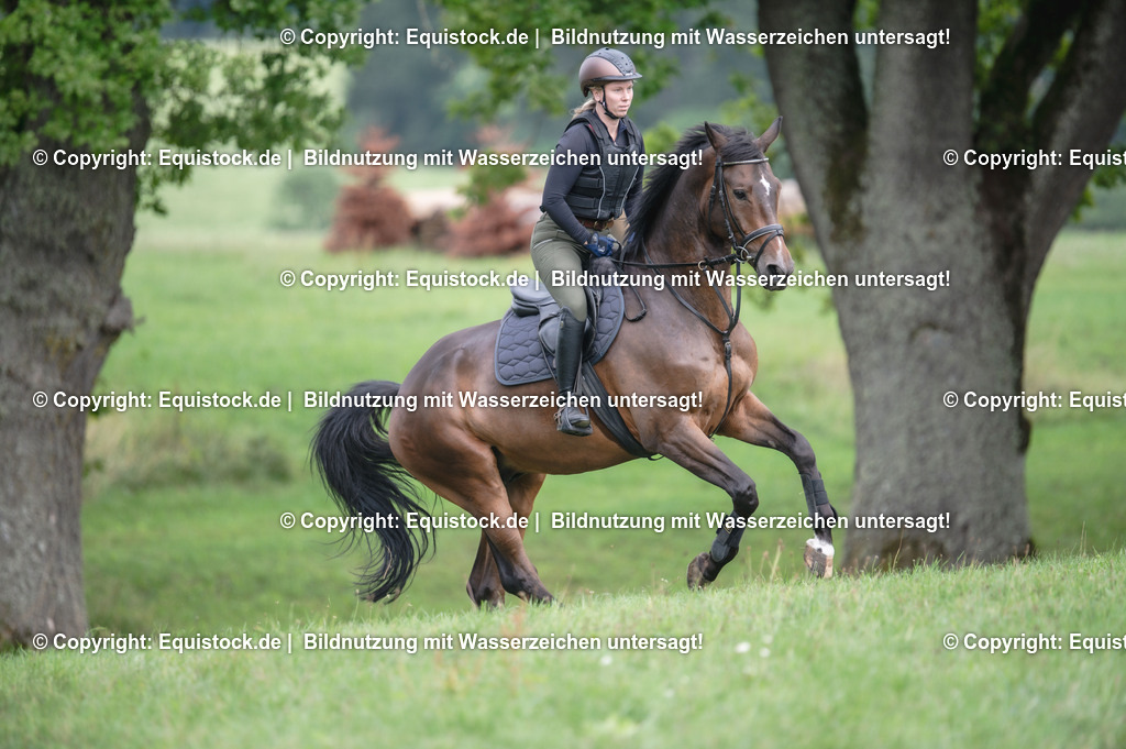 20250726_Vielseitigkeitslehrgang-Marbach_0695 | Foto: Thomas Hartig