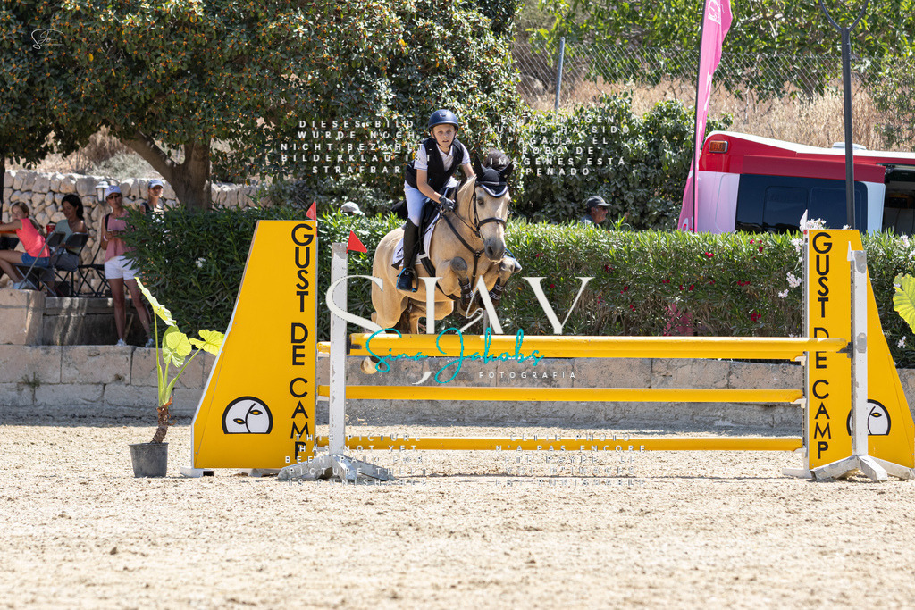 IMG_6071 | s-jay-photography - Realisiert mit Pictrs.com