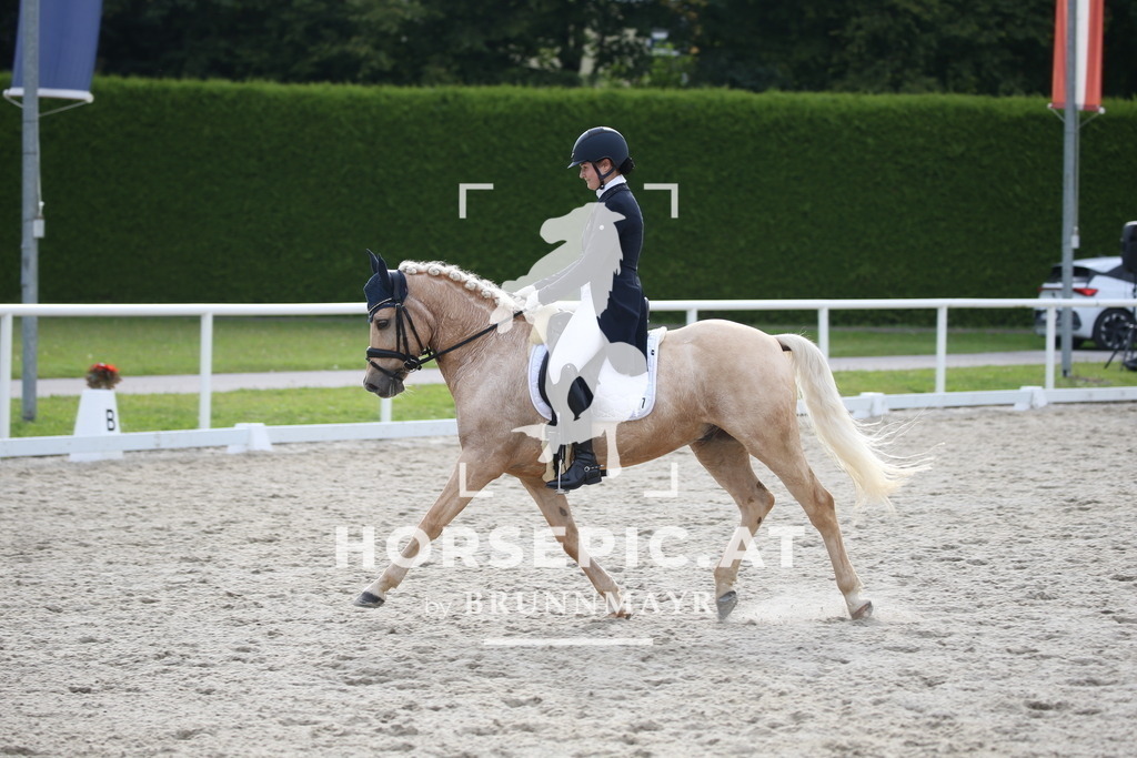 DL2Q5032 | Willkommen bei Brunnmayr - Design & Fotografie – Ihrem Spezialisten für Reitturniere und Pferdeveranstaltungen in Oberösterreich, Salzburg und Bayern! Seit über 17 Jahren sind wir leidenschaftlich dabei.