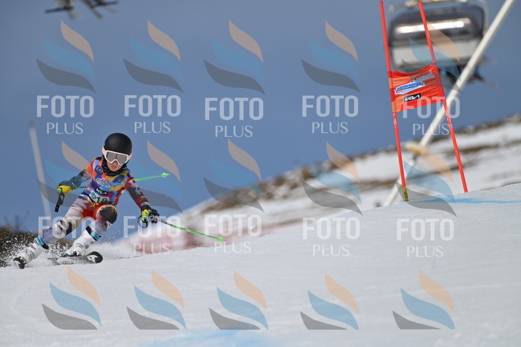 BGV_6275 | holidayphoto