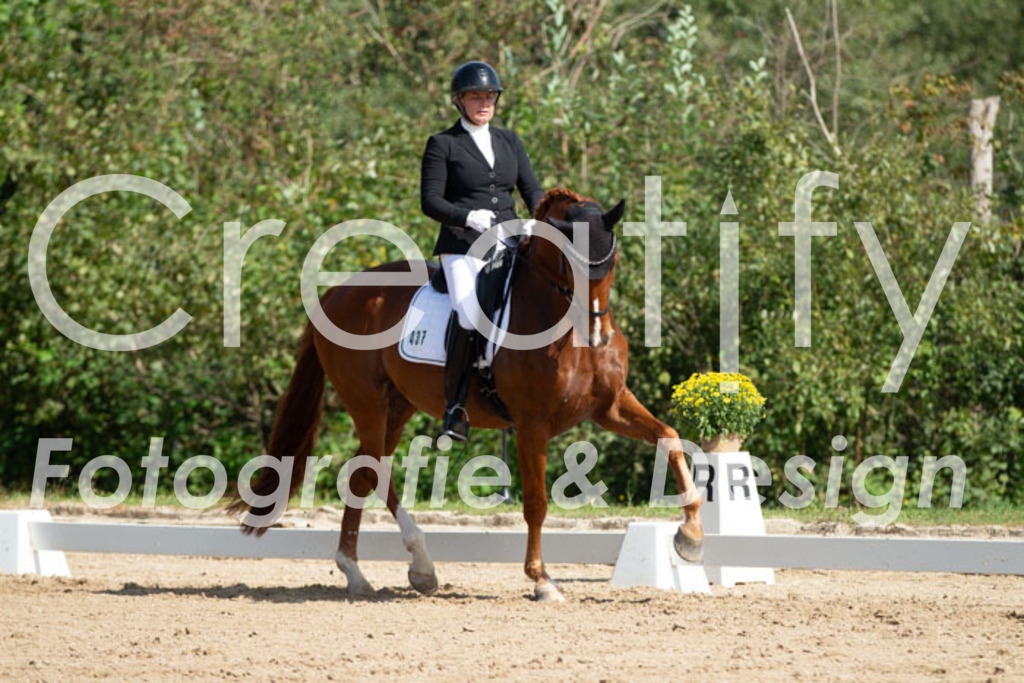 IMG_2642 | Creatify Fotografie