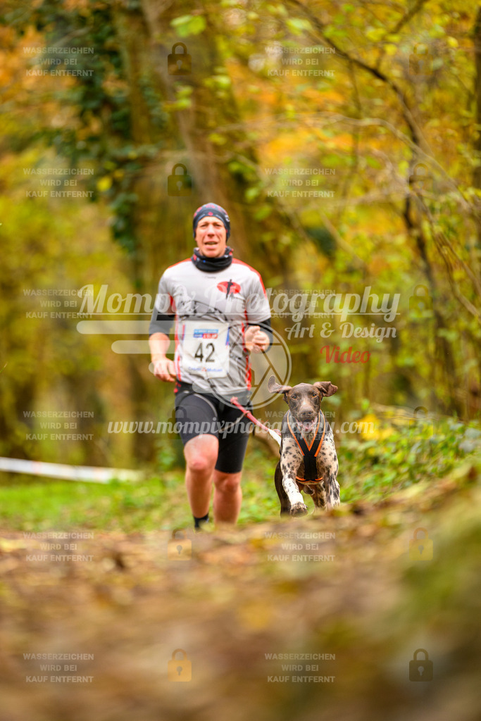 MompixPhotography_Bischwiller24_SA_Canicross-28 | PayLife