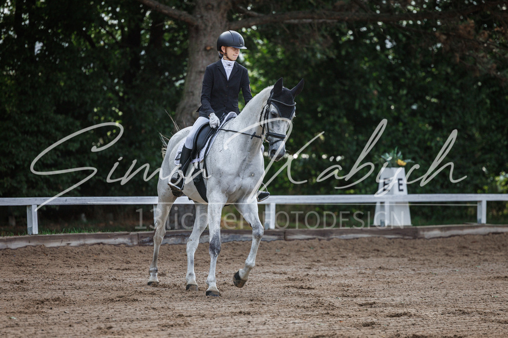 20260905-_3LI6883 | Tierfotografie Pferde, Hunde, Katzen, Haustiere.
Turnierfotografie Reitturniere, Reiten, Springreiten, Dressur in Hanau, dem Main-Kinzig-Kreis und dem Rhein-Main- Gebiet um Frankfurt