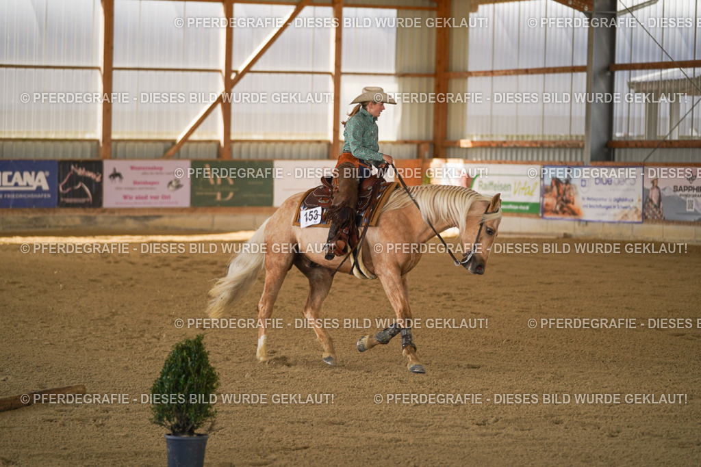 DSC07065 | Pferdegrafie