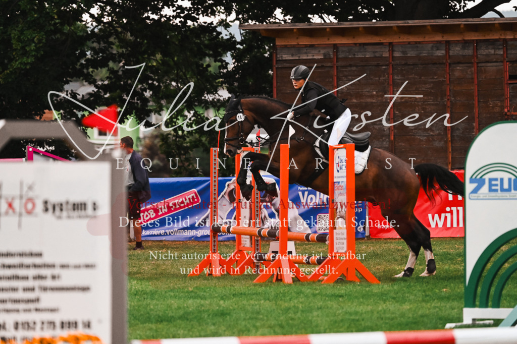 DSC_6145 | Pferde- und Turnierfotografie in Westsachsen. Pferdeportraits, Auftragszeichnungen und intuitive Kunst.