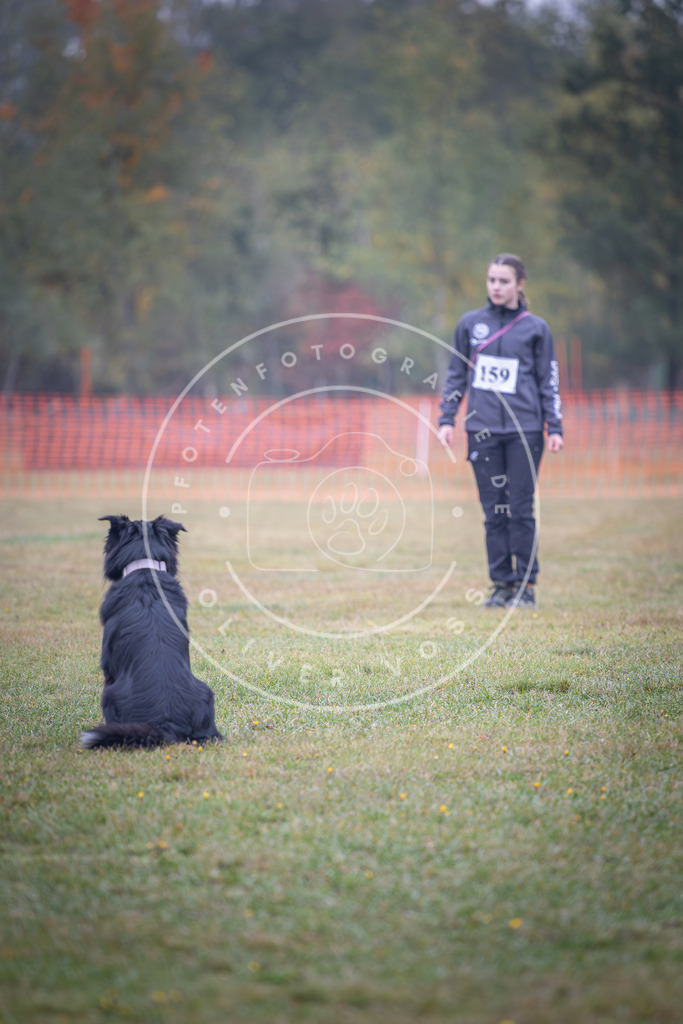 Pfotenfotografie_DV3A8758 | Hundefotografie, Tierfotograf, Pfotenfotografie, Fotoshooting Hund, Hunde Portrait, Hundesport, Hundeportraits, Heideshooting, Hunde, Sportfotograf, Hundefotograf, Turnierhundsport, THS,  - Realisiert mit Pictrs.com