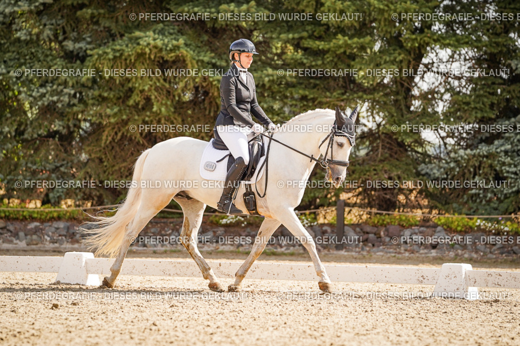 DSC01102 | Pferdegrafie