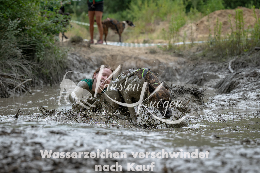 1454_ZZ91177 | kk-dogfotos