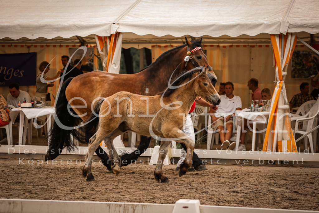 SaHF00076 | Leoni Ertmer Photography - Realisiert mit Pictrs.com