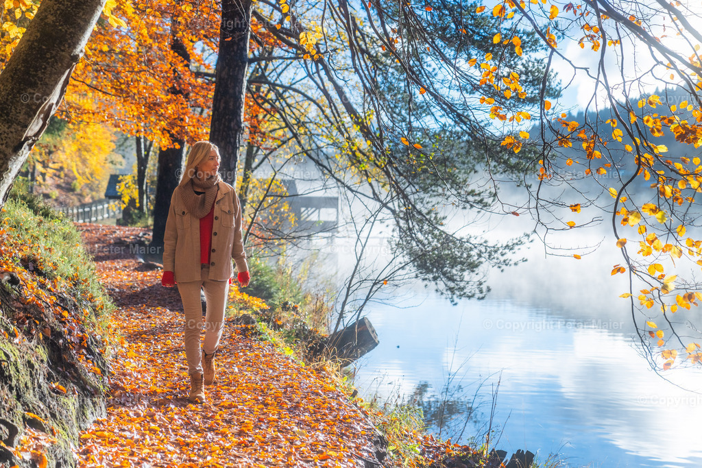 TristacherSee_Herbst_2023-388 | piet_flosse