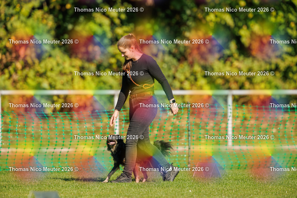 Thomas_Nico_Meuter(C)_04. Oktober 2026_223A1639 | Bild von Thomas Nico Meuter - Realisiert mit Pictrs.com