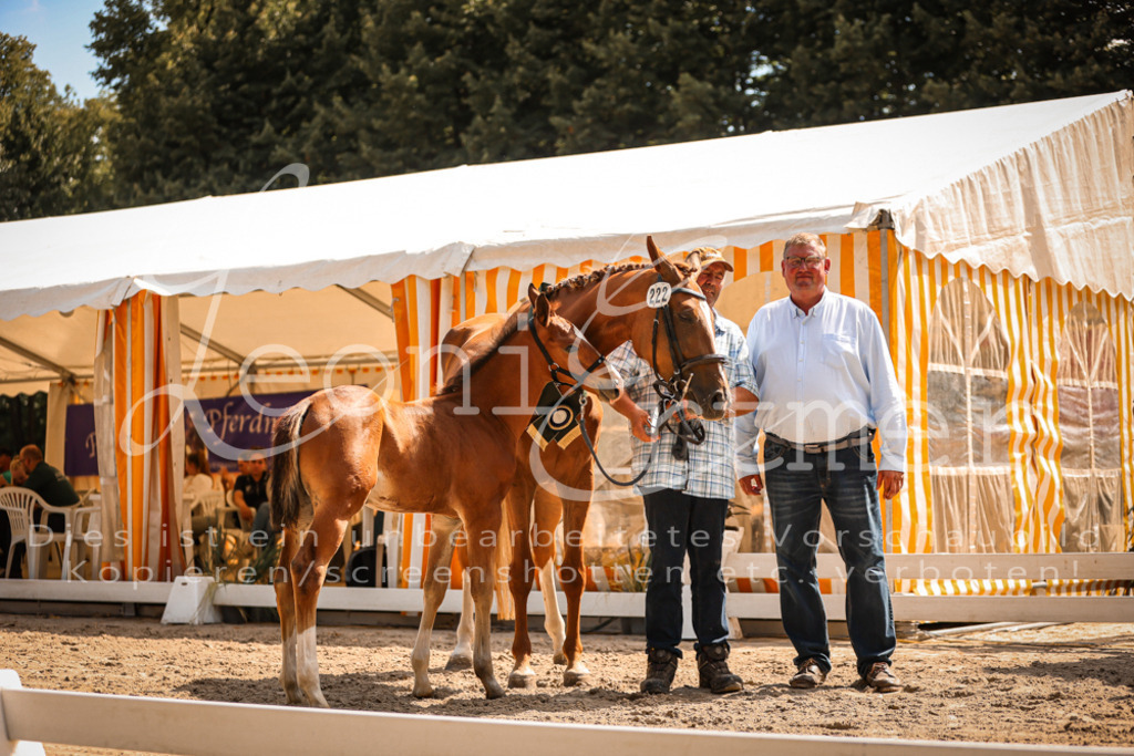 07.DoWBS00139 | Leoni Ertmer Photography - Realisiert mit Pictrs.com