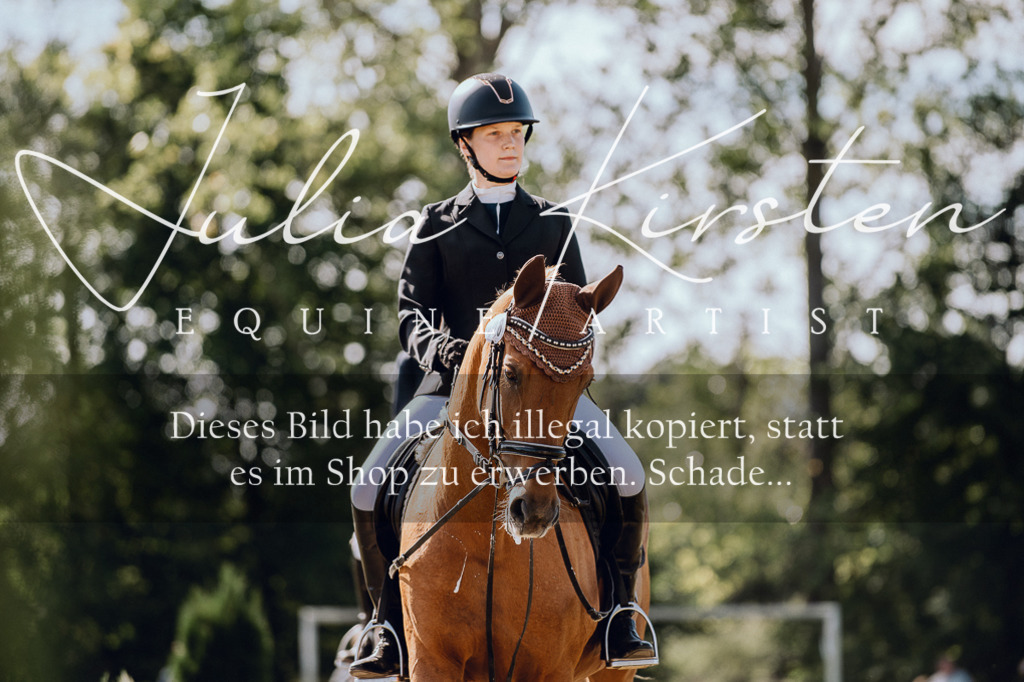DSC_7227 | Pferde- und Turnierfotografie in Westsachsen. Pferdeportraits, Auftragszeichnungen und intuitive Kunst.