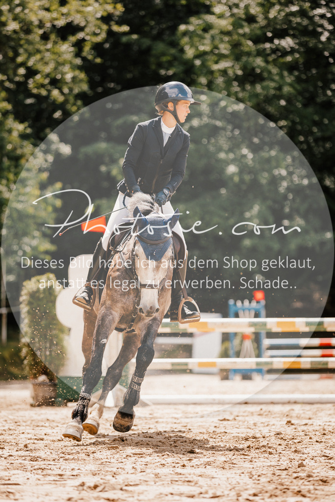 3I6A2369 | Stimmungsvolle Portraits und Reitsportfotografie im Ruhrgebiet und im Münsterland.

Pferdefotografie, Hundefotografie, Tierfotografie, Reportagen, Portraits von Tier und Mensch, Turnierfotografie in Bochum, Recklinghausen, Marl, Haltern am See, Dülmen.. - Realisiert mit Pictrs.com