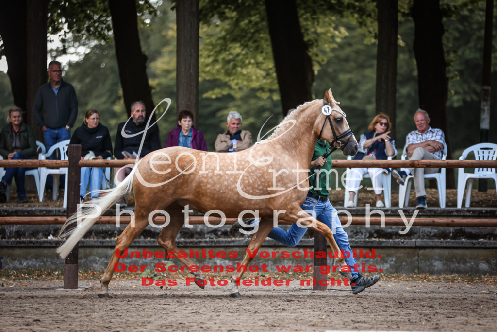 SoER00029 | Leoni Ertmer Photography - Realisiert mit Pictrs.com